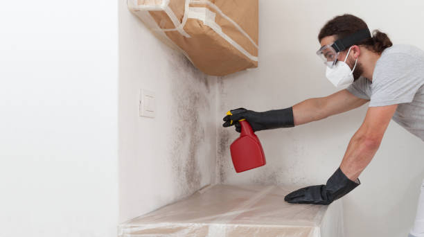 Professional Mold Removal technician working in Garrett, TX