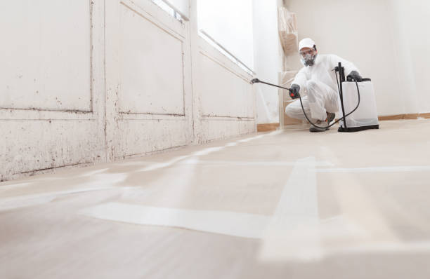 24/7 Emergency Mold Removal experts in Garrett, TX